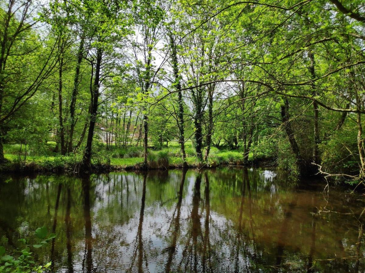 Trainefeuilles - Chambres D'Hotes Proche Zoo De Beauval Le Controis-en-Sologne ภายนอก รูปภาพ