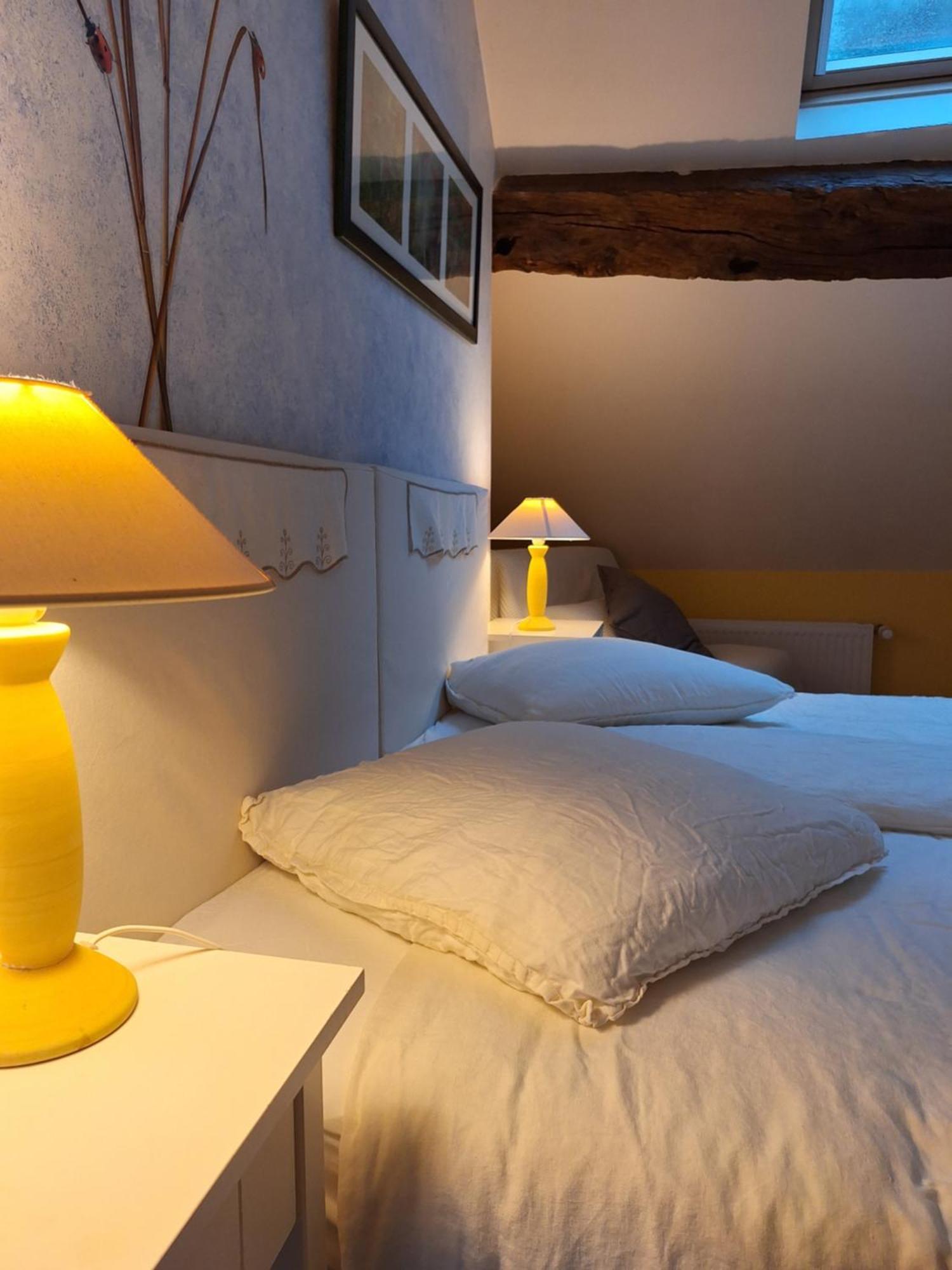 Trainefeuilles - Chambres D'Hotes Proche Zoo De Beauval Le Controis-en-Sologne ภายนอก รูปภาพ