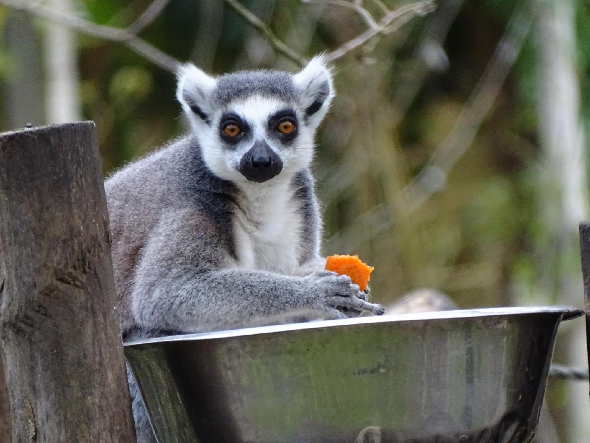 Trainefeuilles - Chambres D'Hotes Proche Zoo De Beauval Le Controis-en-Sologne ภายนอก รูปภาพ