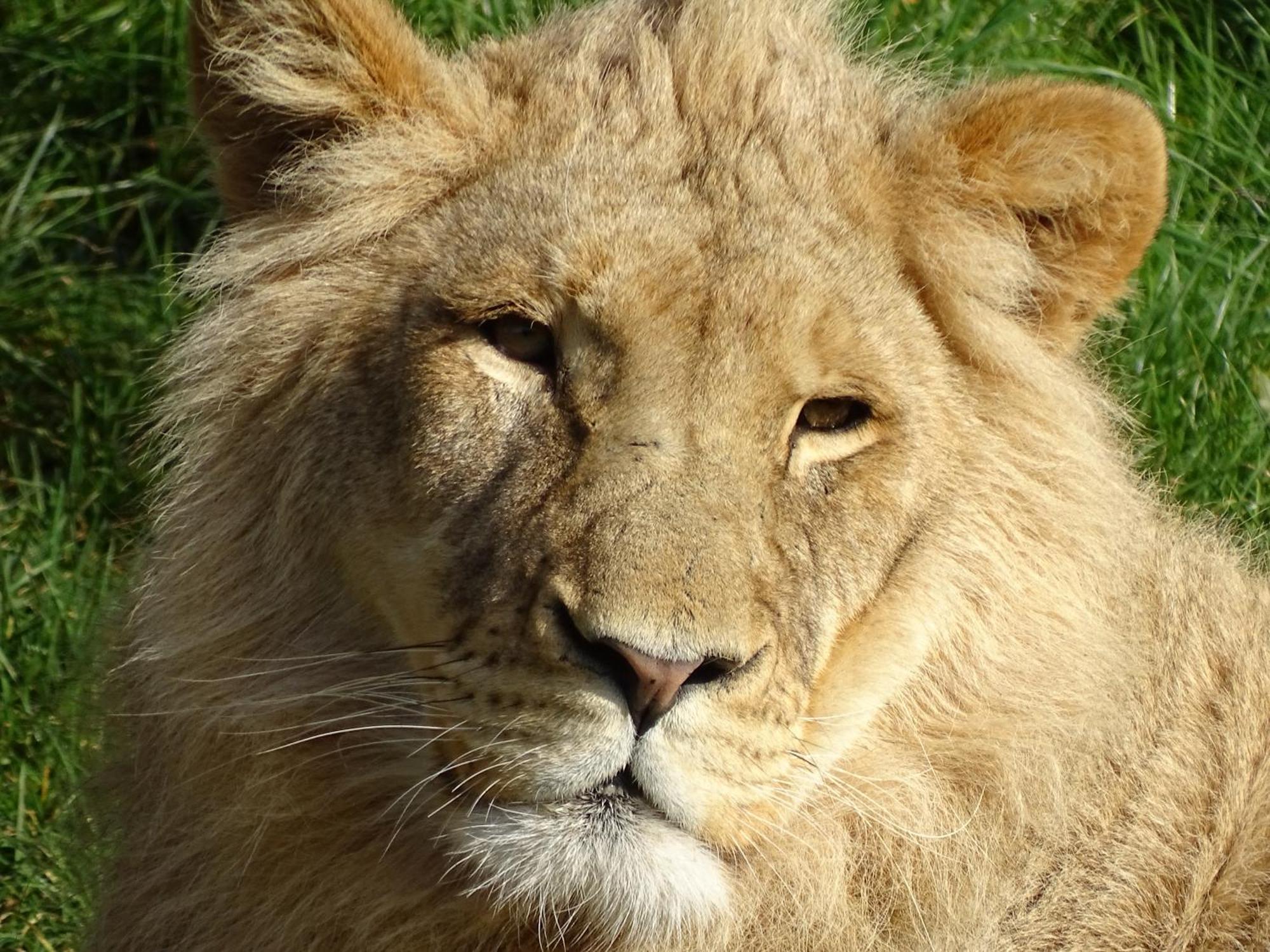 Trainefeuilles - Chambres D'Hotes Proche Zoo De Beauval Le Controis-en-Sologne ภายนอก รูปภาพ