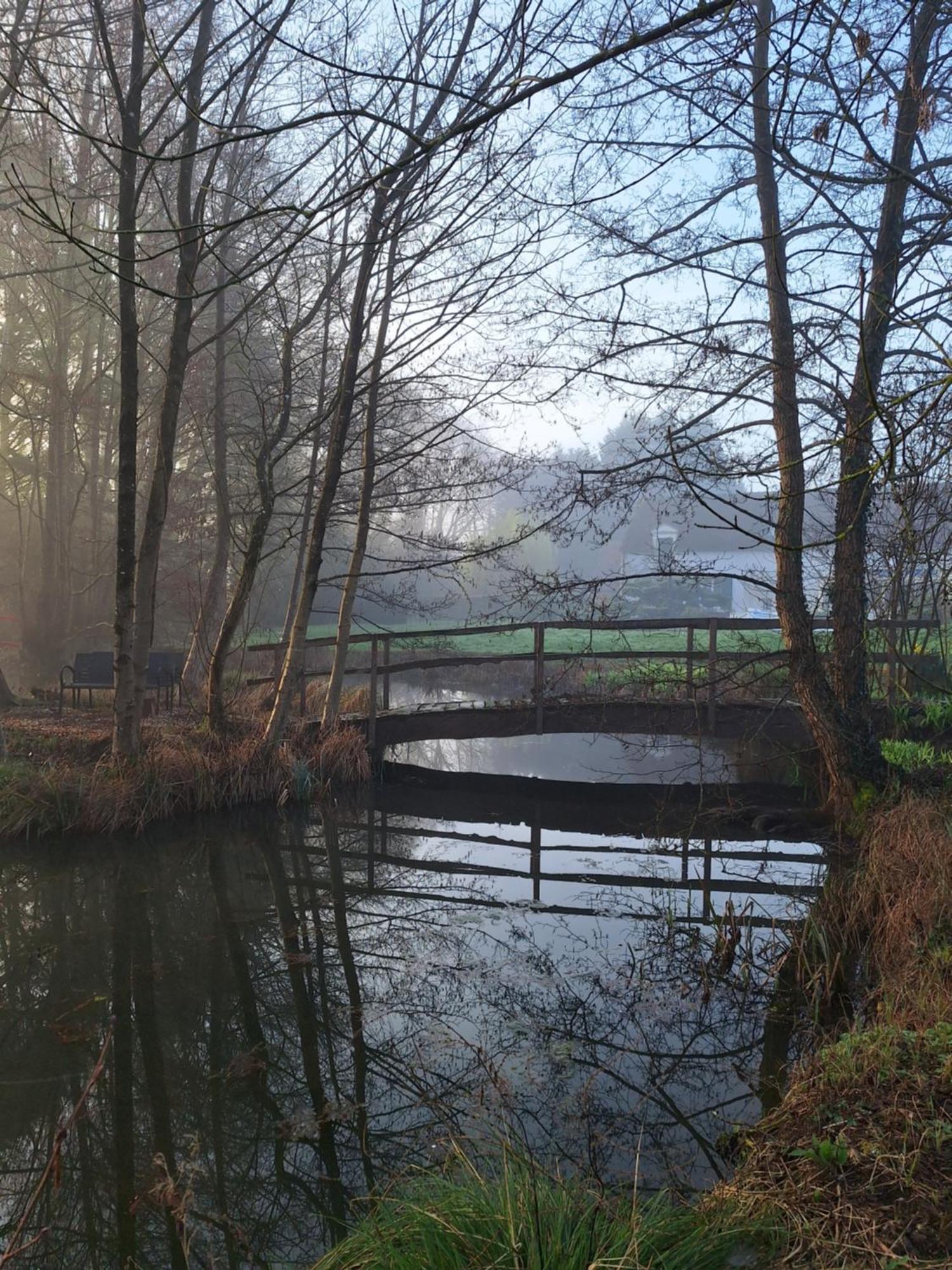 Trainefeuilles - Chambres D'Hotes Proche Zoo De Beauval Le Controis-en-Sologne ภายนอก รูปภาพ