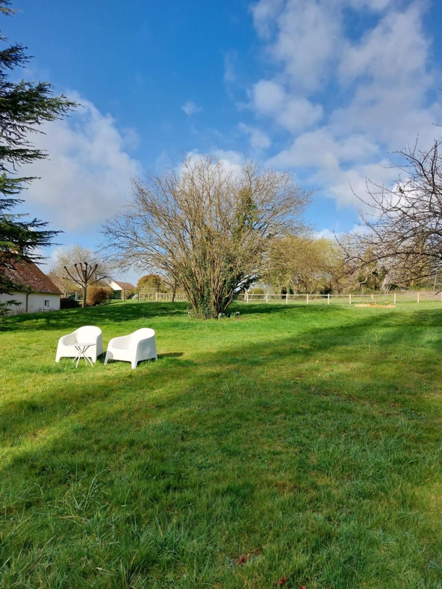 Trainefeuilles - Chambres D'Hotes Proche Zoo De Beauval Le Controis-en-Sologne ภายนอก รูปภาพ